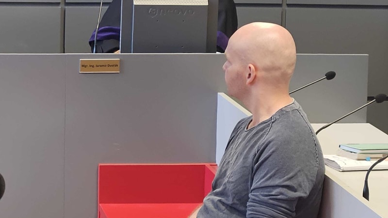 Vraha propustili dřív, po 22 dnech ubodal ženu v Mírově. Chová se vzorně, chválili ho ve vězení